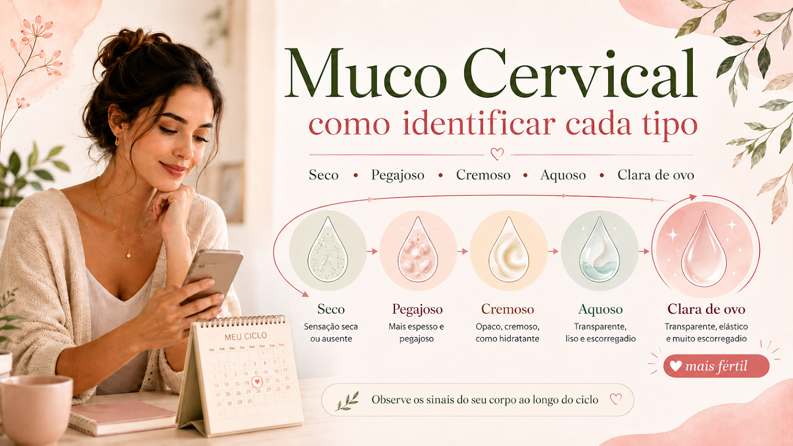 Tipos de muco cervical: como identificar dry, sticky, creamy, watery e eggwhite (clara de ovo)