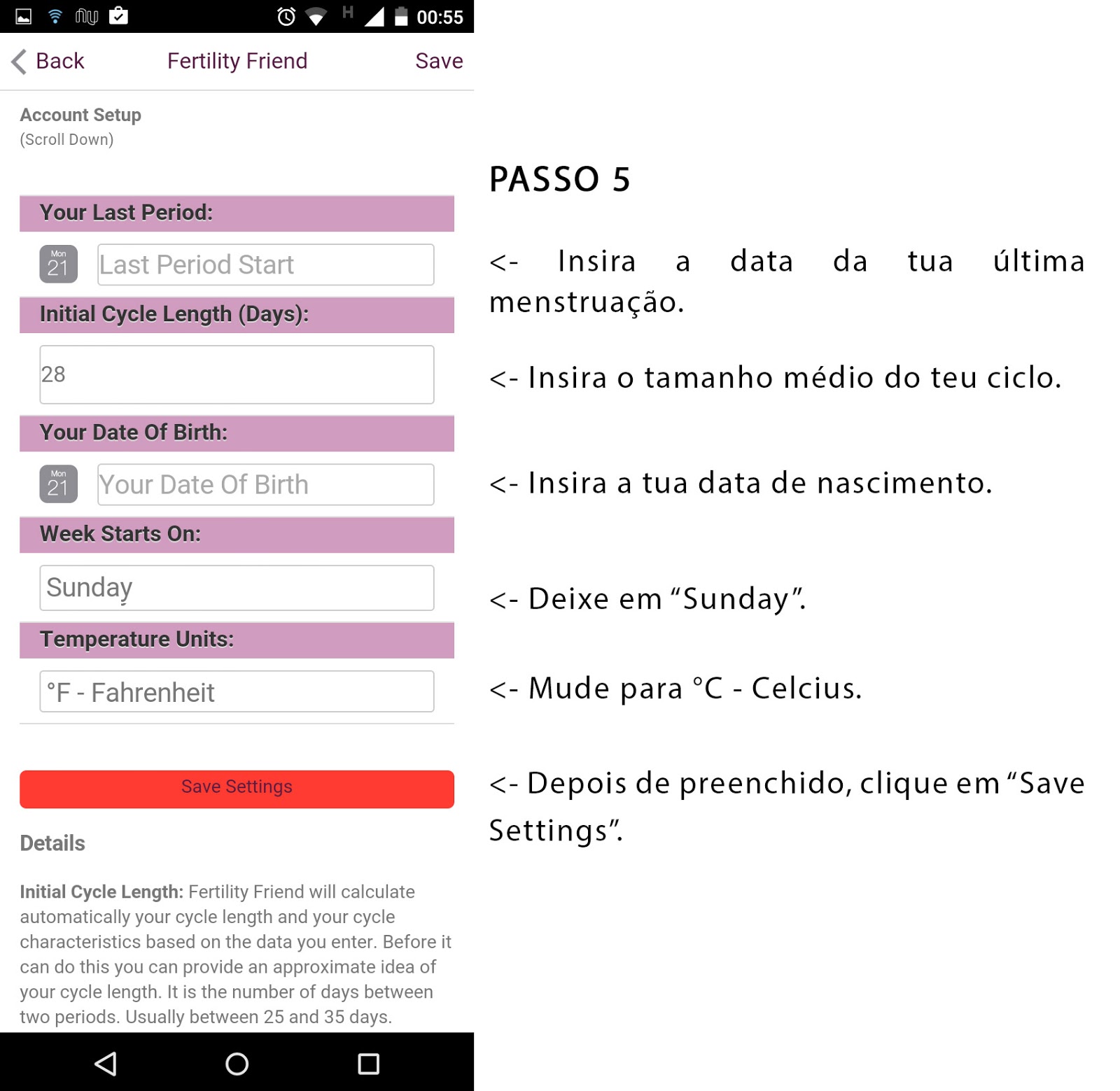 Print Screen do passo 5 do Fertility Friend em português