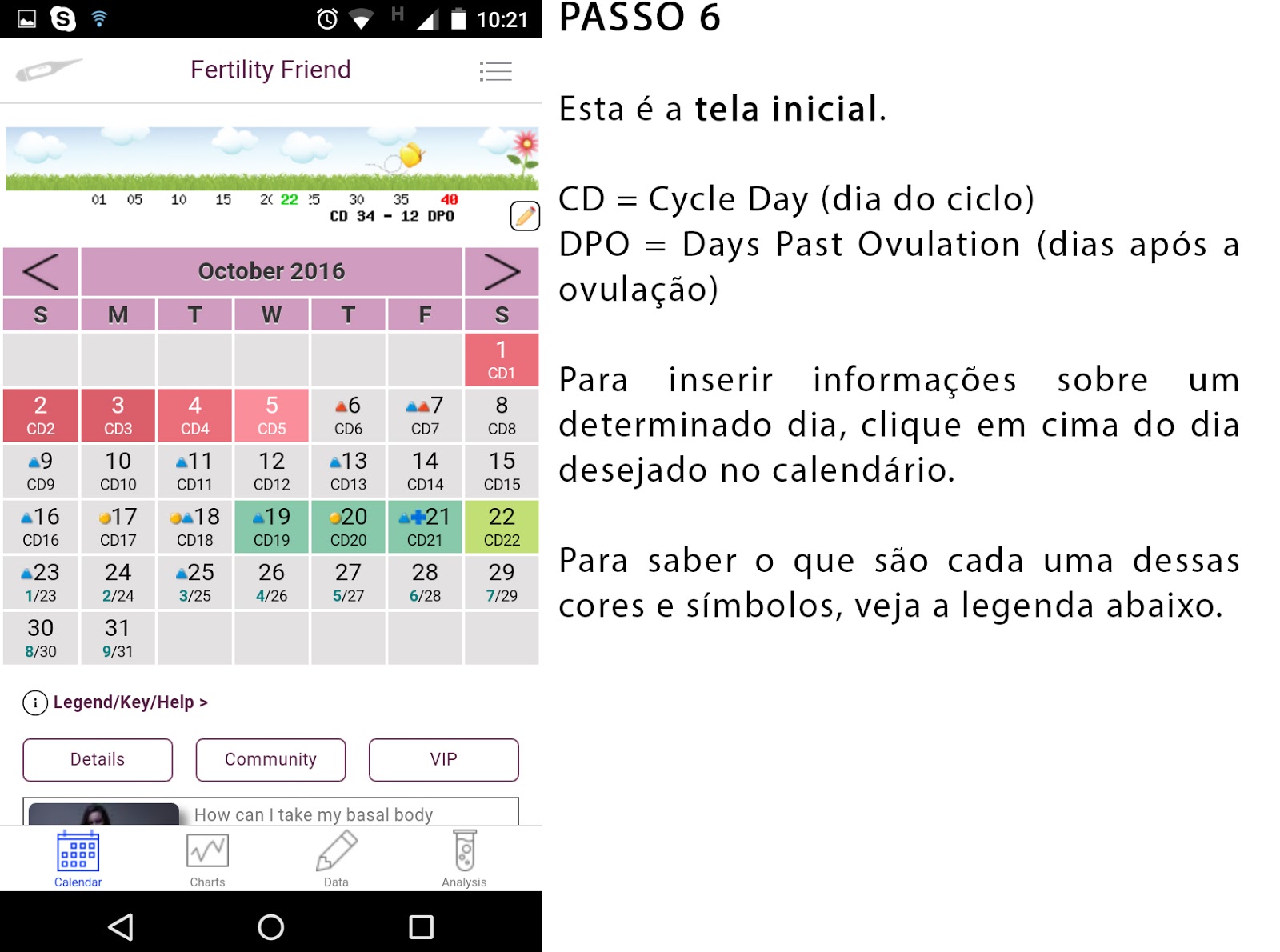 Print Screen do passo 6 do Fertility Friend em português