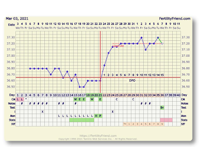 Gráfico de temperatura basal da Renato Método sintotermal para acompanhamento da evolução. A Renata fez FIV mas mesmo assim fez o gráfico para acompanhar seu ciclo.