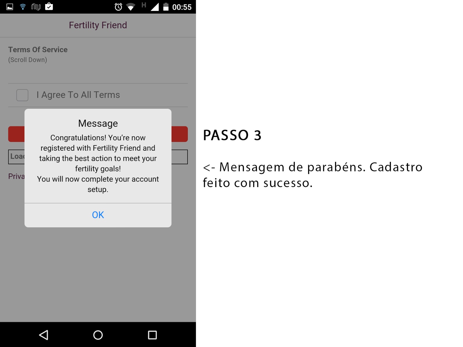 Print Screen do passo 3 do Fertility Friend em português