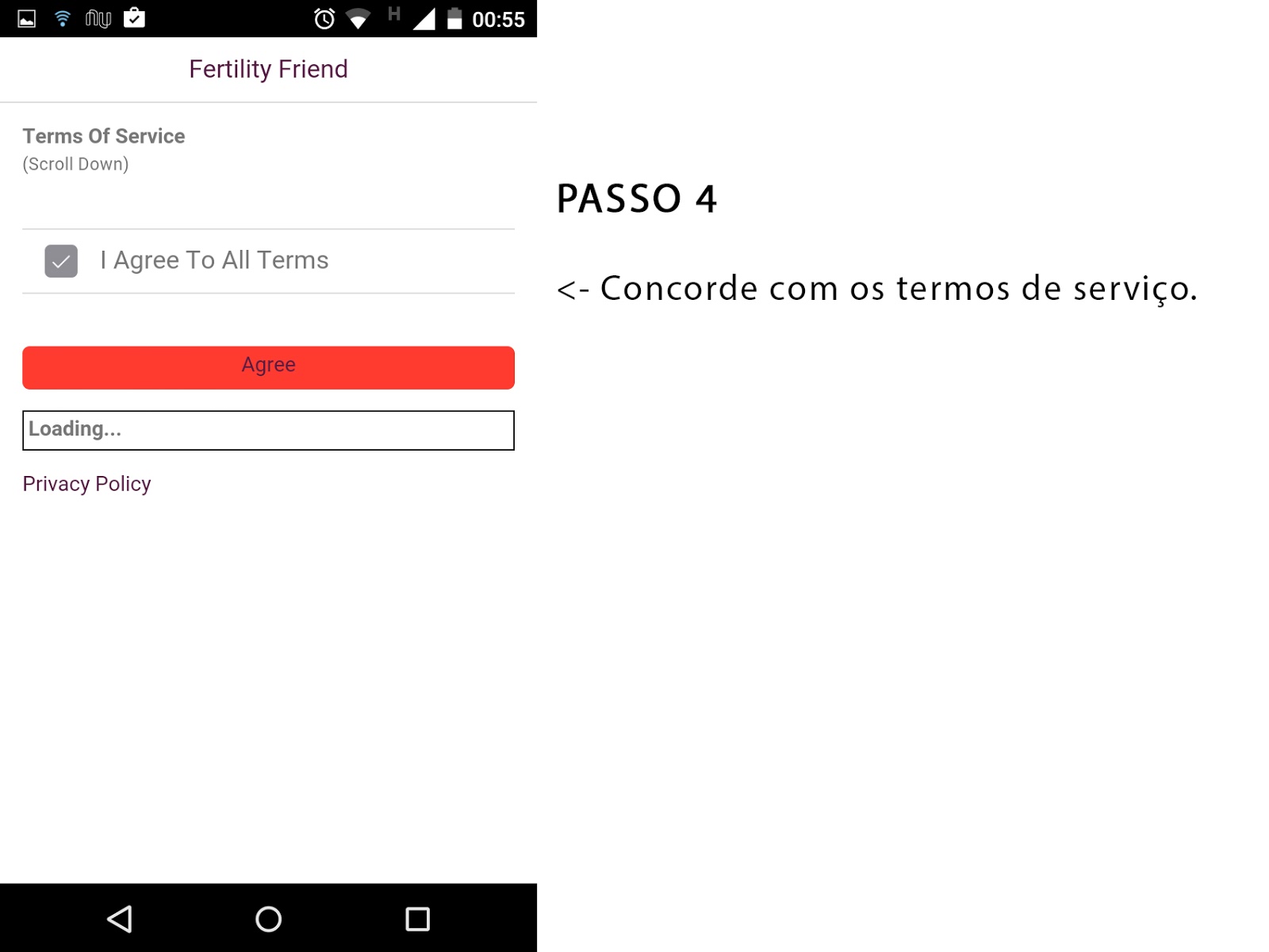 Print Screen do passo 4 do Fertility Friend em português