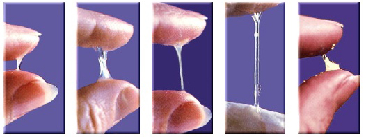 Evolução do muco cervical ao longo do ciclo: sticky → eggwhite → creamy
