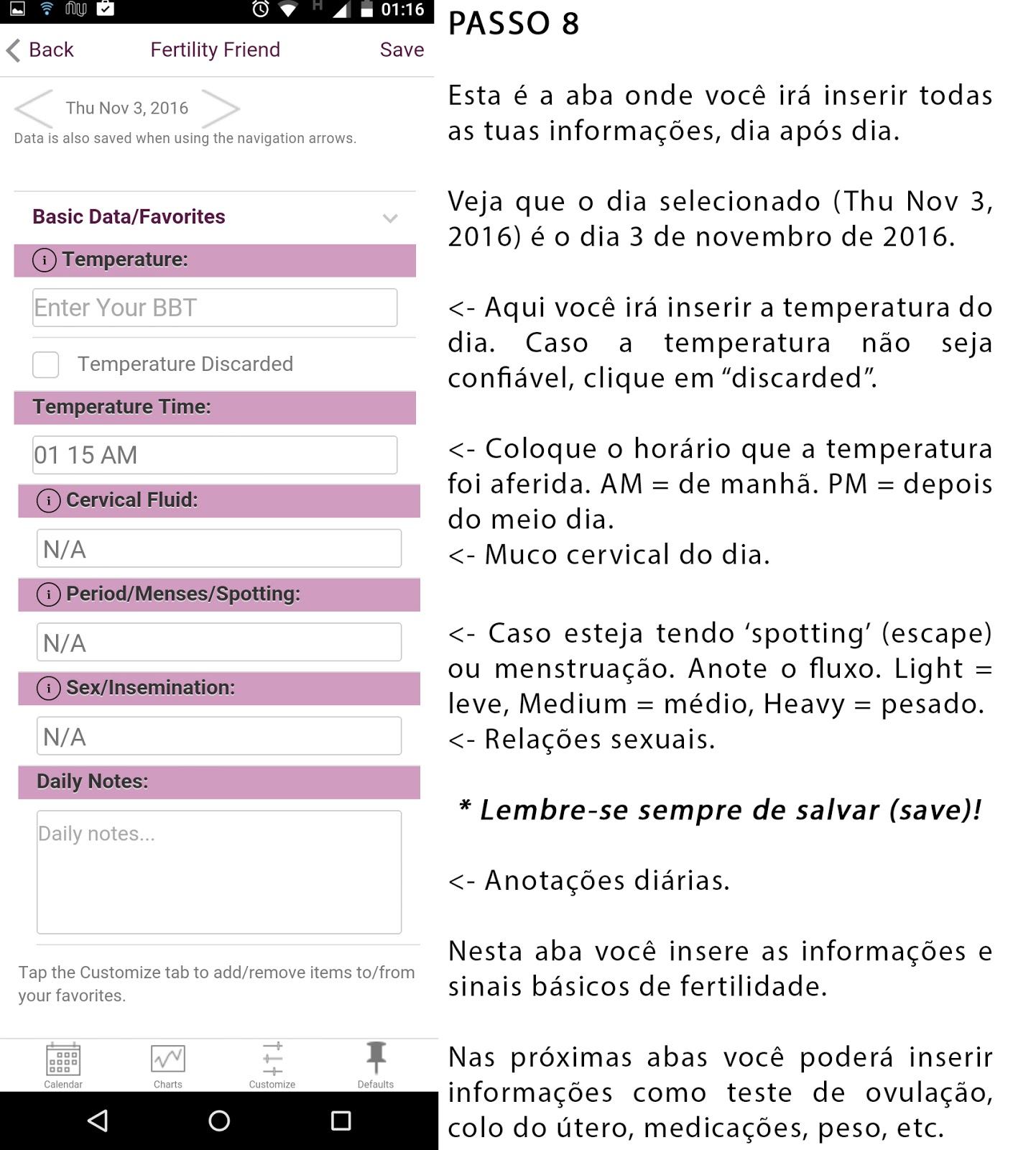 Print Screen do passo 8 do Fertility Friend em português