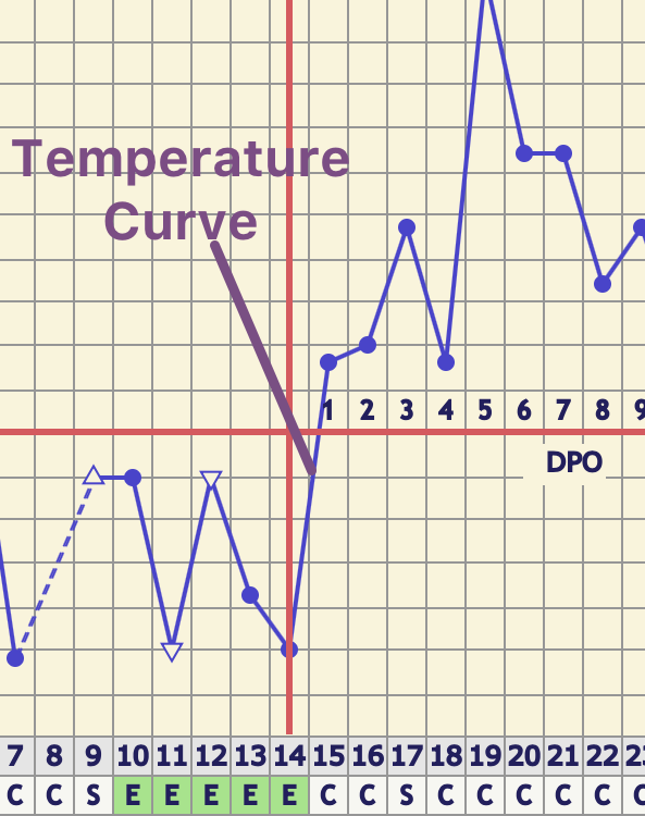 Lição 8: Como medir e registrar a Temperatura Basal (TB) no Fertility Friend