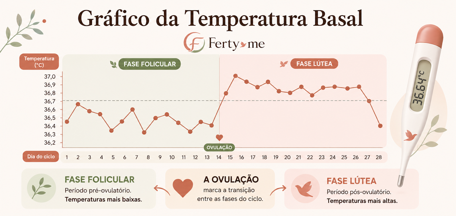 Gráfico de temperatura basal do método sintotermal — Ferty, fertilidade, tentante